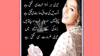 Urdu Romantic Poetry|Poetry Status|Love ???? Poetry