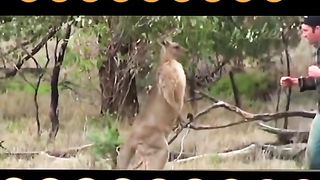 Funny Clips ???????? watch and enjoy
