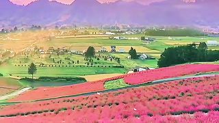 scenery love music