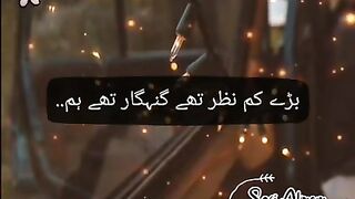 ARY Digital drama mere paas tum hu