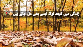 Kuch log hamari qismat me ni hoty
