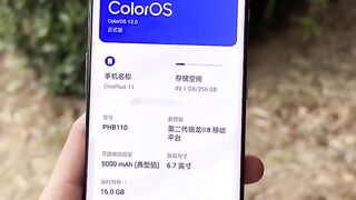 OnePlus 11