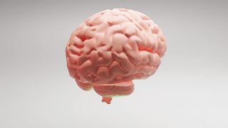 Brain Animation