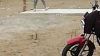 cricket lovers