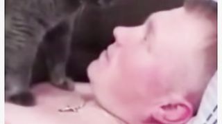 КОГДА ДРУГ ЗАШЁЛ ПОХМЕЛИТЬСЯ. Смешные кошки.