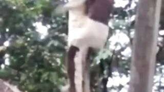 Funnyvideos