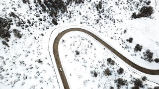 Road leading towards snowy forests