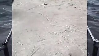Cock swag