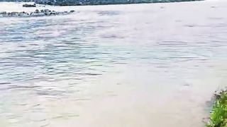 Natural beauty veloge  please viral_video