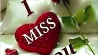 can you like short poetry part ...23     Mughalpoetry