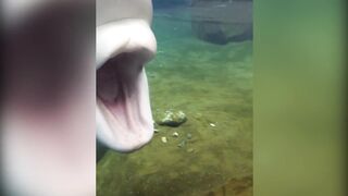 Funny Fail Compilation (TRY NOT TO LAUGH) - Part 7