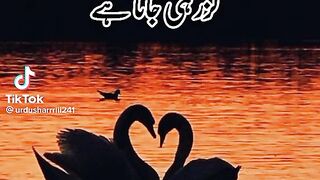 Best poetry