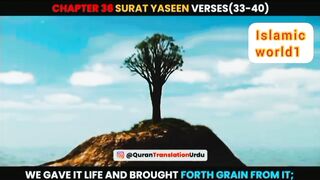 Surat Yaseen Verses 33-35 Urdu Translation