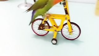 sR video