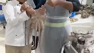 Octopus cooking by junior chef