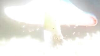 videos for cats