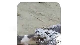 جب الله رزق دیتا ہے ..... پلیز اشتہار پر کلک کریں