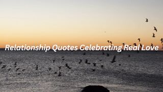 Relationship Quotes Celebrating Real Love