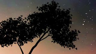 Main Agar Sitaron Se Chura Ke Laun || Sad Song WhatsApp Status.