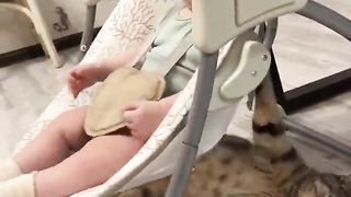 Baby Sitter
