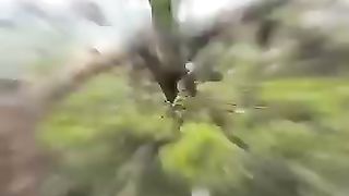 Amazing video about collecting honey