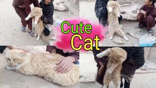 Bachon ne Billi ko pakar liya _cat attack