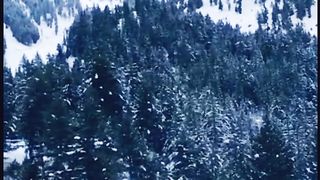Snowfall