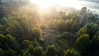 Morning scene