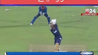 Cricket funny