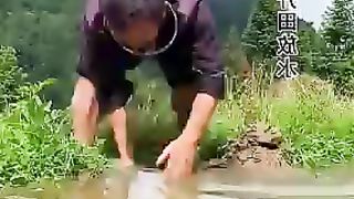 Countryside fish fry unique style