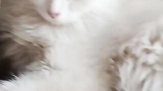 Very cute