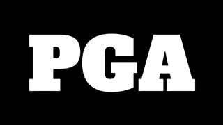 Pasukan Gerakan Am bn