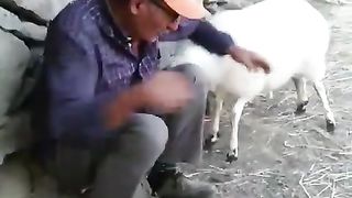 Goat hitting 0ld man funny.