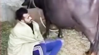 Funny videos latest 2023
