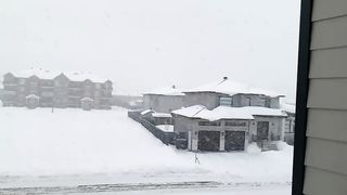 Snow falling