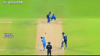 Cricket fans