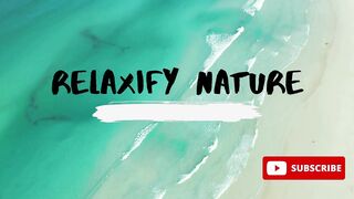 Nature x Leonell Casio (ft. Carrie)❤
