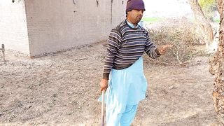 Pese double krny wala darakht | funny video | SHR TV | 2023 trending video viral