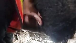 ????????Viral video