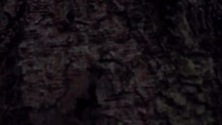 The Fascinating World of Fungi | A Timelapse Journey