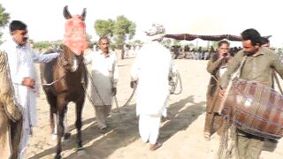 horse dance beautiful horse dance 2023