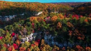 Soothing Forest Stream | Nature