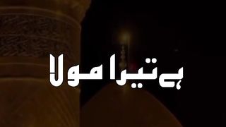 Ali mola