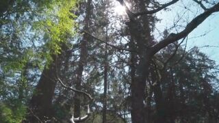 Exploring the Secrets of the Woods