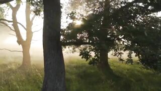 The Peaceful Charm of Nature's Waterfalls