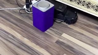 Новая Алиса