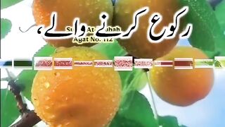 Talawat-e-Quran with Urdu Tarjuma...❤❤❤