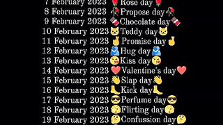 Video propose day