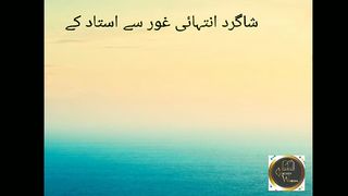 aqwale zareen  golden words islamic status moral stories