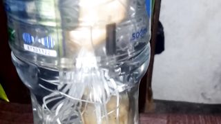 Garlic plant in water bottle